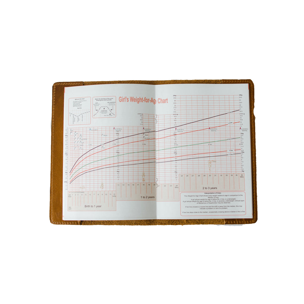 Leather Health Book Cover (Fits Road to Health)