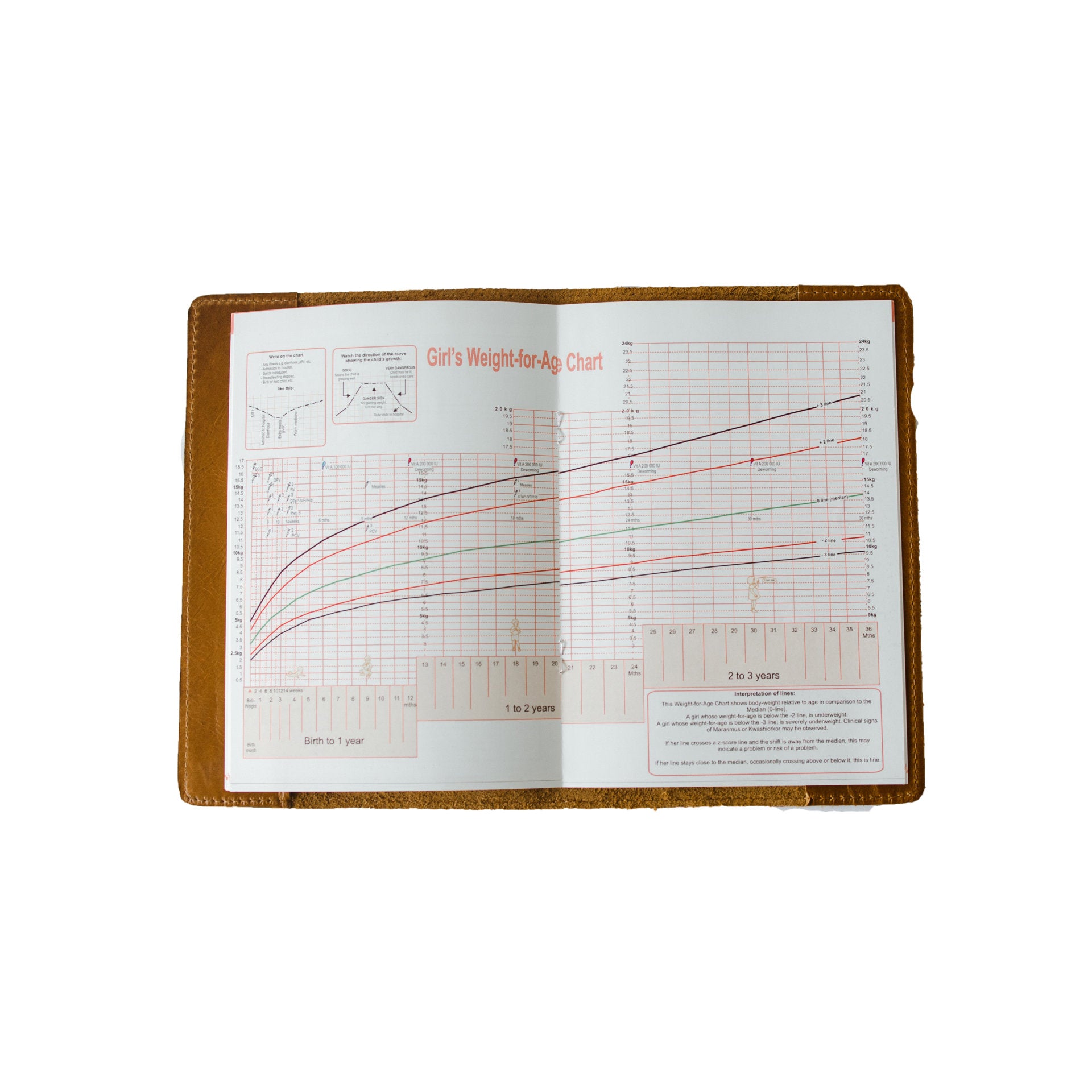 Leather Health Book Cover (Fits Road to Health)