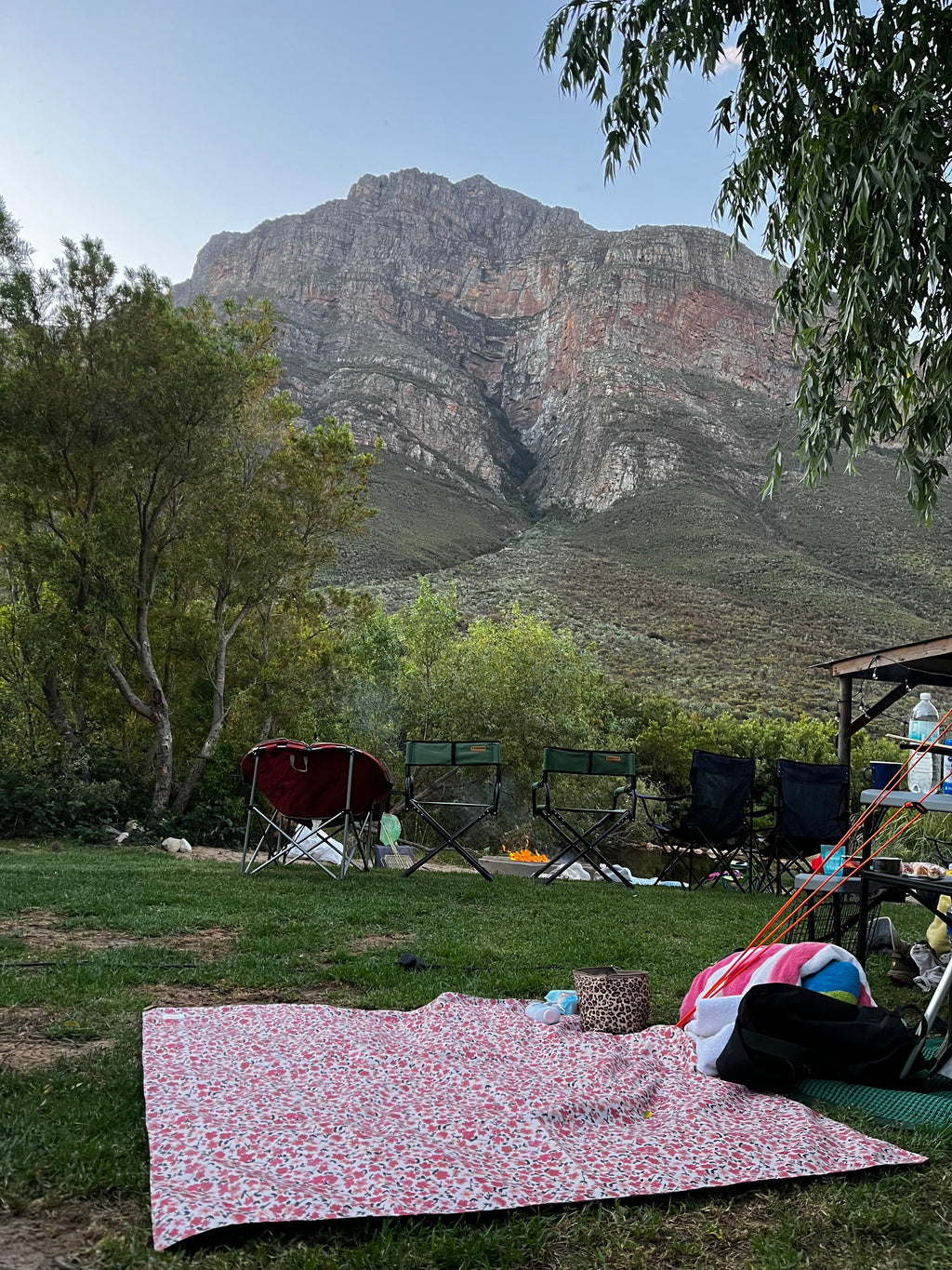 NEW Jeankelly Multi Purpose Mat/Picnic Blanket + Tote Bag